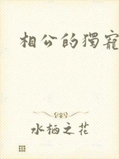 相公的独宠妻子