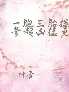 一胞三胎总裁爹爹超凶猛免费阅读