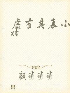 虚有其表小说txt