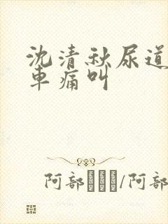 沈清秋尿道扩张车痛叫