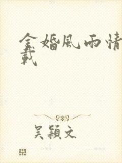 金婚风雨情 下载