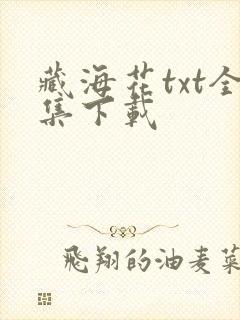 藏海花txt全集下载