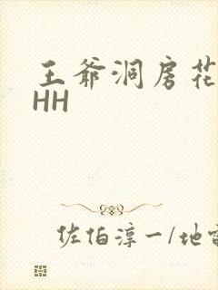 王爷洞房花烛夜HH