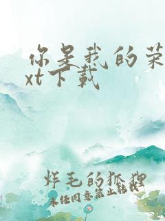 你是我的荣耀txt下载