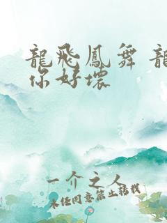 龙飞凤舞 龙王你好坏