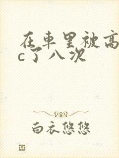 在车里被高潮被c了八次