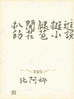 扒开腿挺进湿润的花苞小说