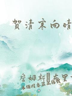 贺清寒向晴小说