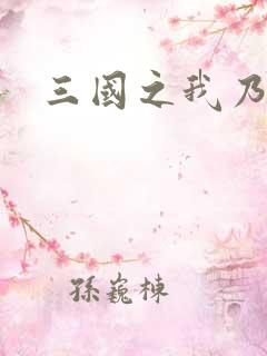 三国之我乃曹昂