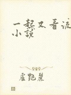 一起又看流星雨小说