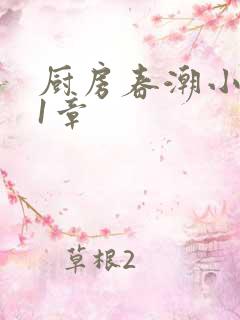 厨房春潮小说第1章