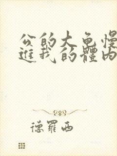 公的大龟慢慢挺进我的体内