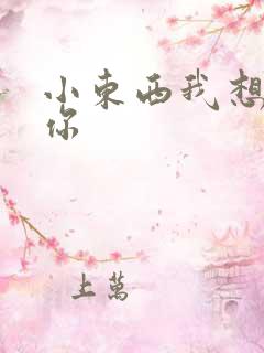 小东西我想弄坏你