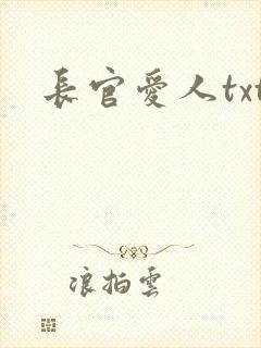 长官爱人txt