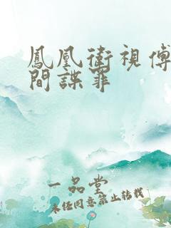 凤凰卫视傅晓甜间谍罪