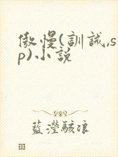 傲慢(训诫,sp)小说