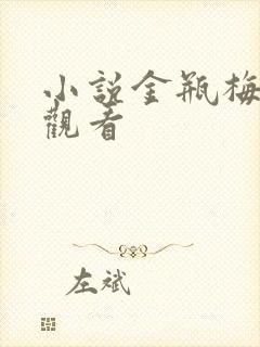 小说金瓶梅在线观看