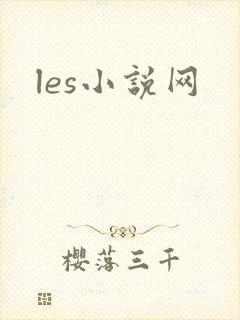 les小说网