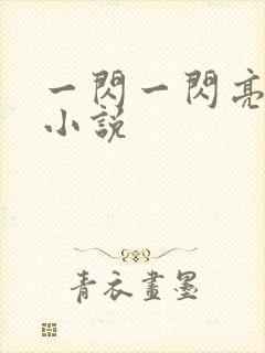 一闪一闪亮晶晶小说