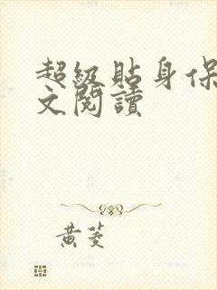 超级贴身保镖全文阅读