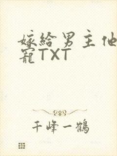 嫁给男主他爹肉宠TXT