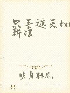 只手遮天txt新浪