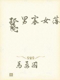 孤男寡女落瑛纷飞