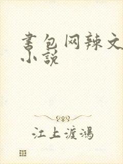 书包网辣文全本小说