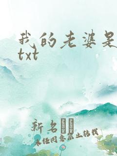 我的老婆是警察txt