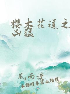 樱木花道之重生凶猛