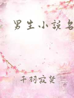 男生小说名字
