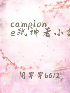 campione弑神者小说