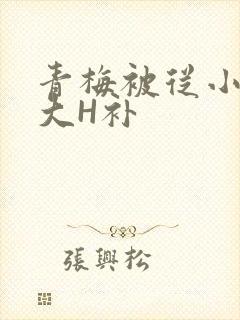 青梅被从小摸到大H补