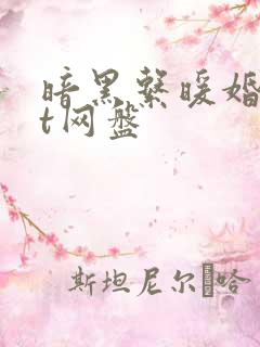 暗黑系暖婚txt网盘