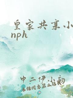 皇家共享小公主nph