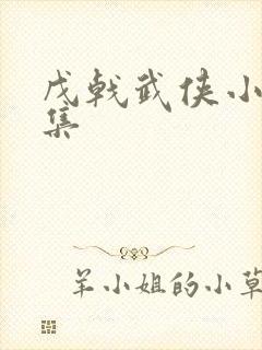 戊戟武侠小说全集