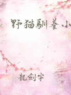 野猫驯养小说
