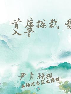 首席总裁 爱你入骨