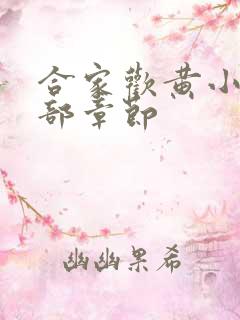 合家欢黄小梅全部章节