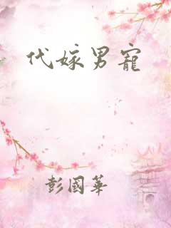 代嫁男宠