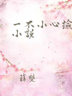 一不小心捡到爱小说