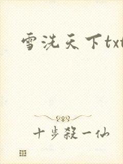 雪洗天下txt