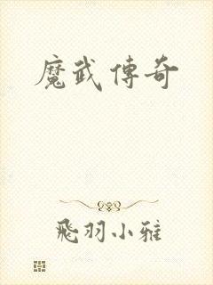 魔武传奇