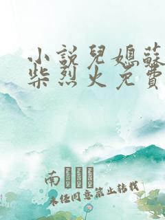 小说儿媳苏玥干柴烈火免费阅读