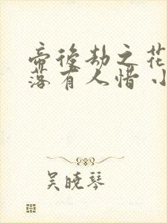 帝后劫之花开花落有人惜 小说