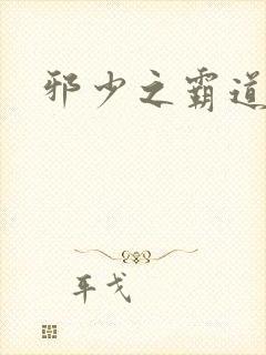 邪少之霸道娇妻