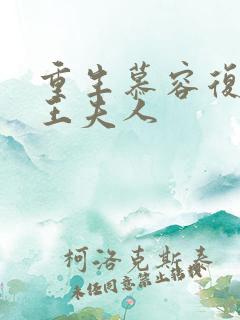 重生慕容复之弄王夫人