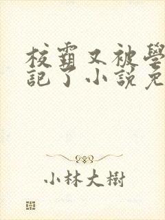 校霸又被学神标记了小说免费阅读