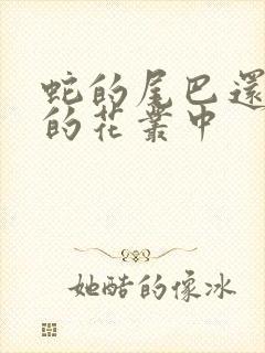 蛇的尾巴还在我的花丛中