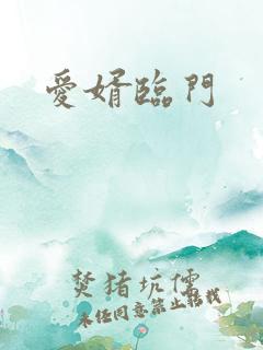 爱婿临门